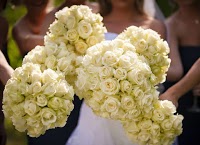 SuperNova Wedding Design and Flowers 1082881 Image 4